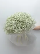 Монобукет из 51 Белой Гипсофилы