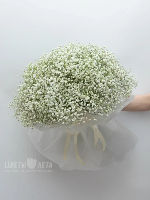 Монобукет из 51 Белой Гипсофилы