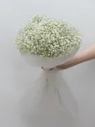 Букет: &laquo;Белая гипсофила&raquo;