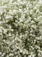 Букет: &laquo;Белая гипсофила&raquo;