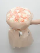 Букет:  51 Микс Кремовые-Белые Диантусы