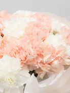 Букет:  51 Микс Кремовые-Белые Диантусы