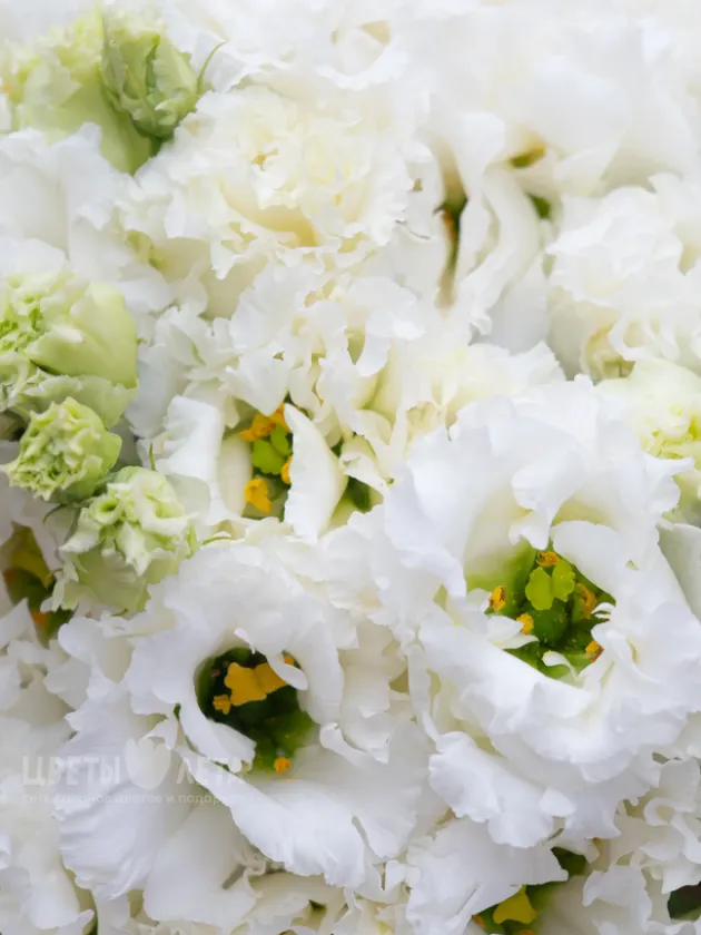 Композиция: &laquo;Белая Эустома&raquo;