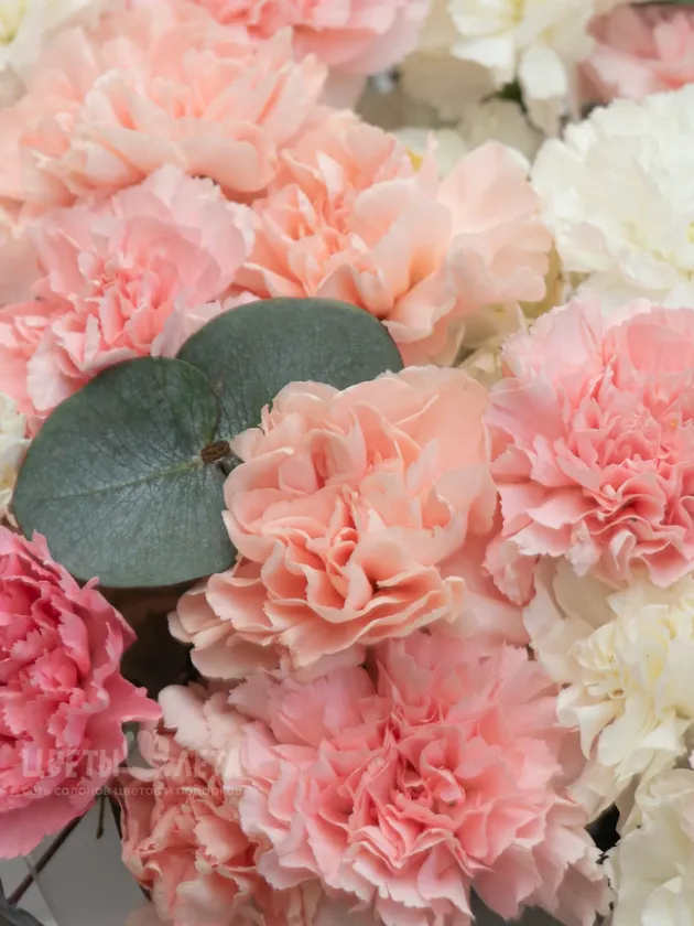 Композиция: &laquo;Микс Диантусов&raquo;