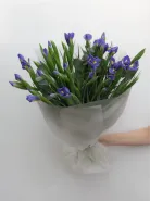 Монобукет: &laquo;Синие Ирисы&raquo;