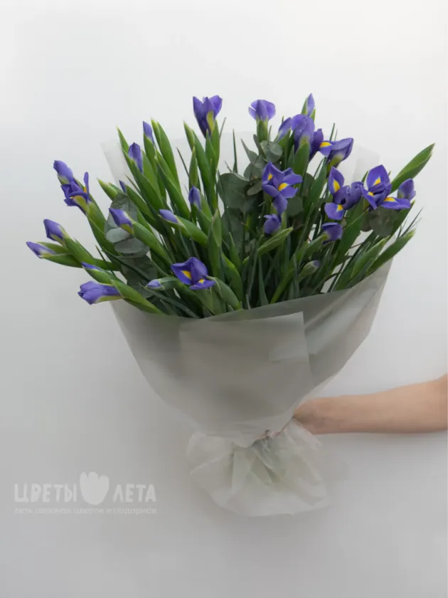 Монобукет: &laquo;Синие Ирисы&raquo;