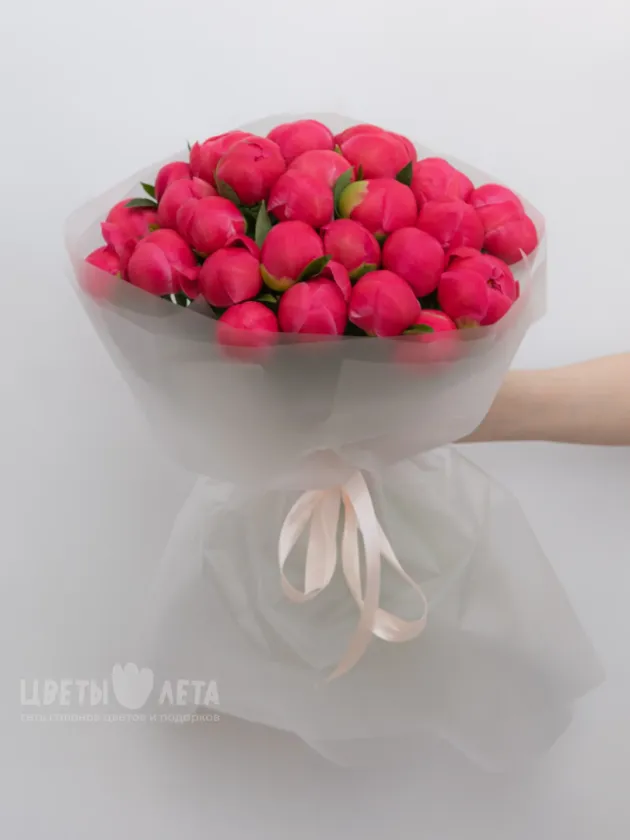 Букет: &laquo;Пион Coral Charm&raquo;