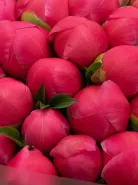 Букет: &laquo;Пион Coral Charm&raquo;