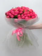 Букет из 51 Пиона &laquo;Сoral Charm&raquo;
