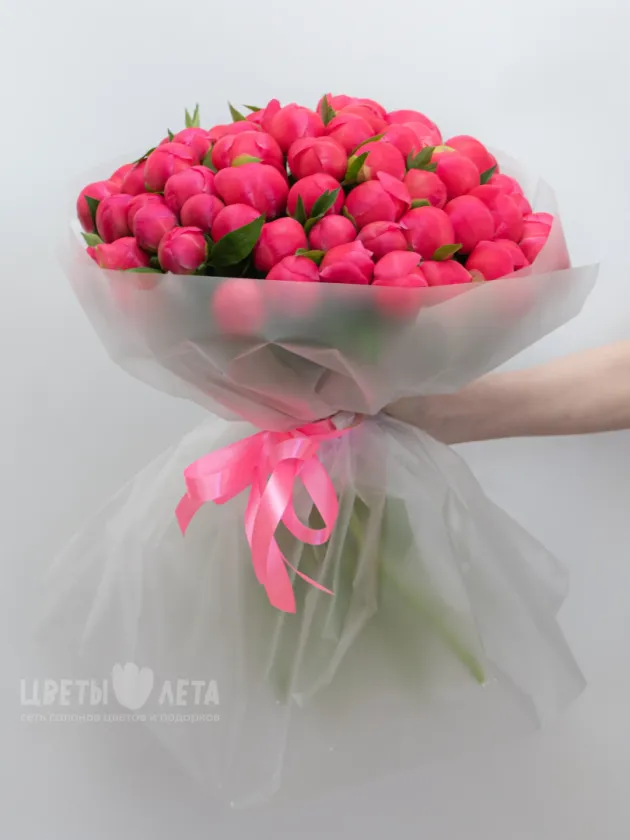 Букет из 51 Пиона &laquo;Сoral Charm&raquo;
