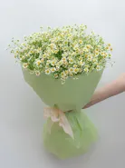 Монобукет: &laquo;Ромашка&raquo;