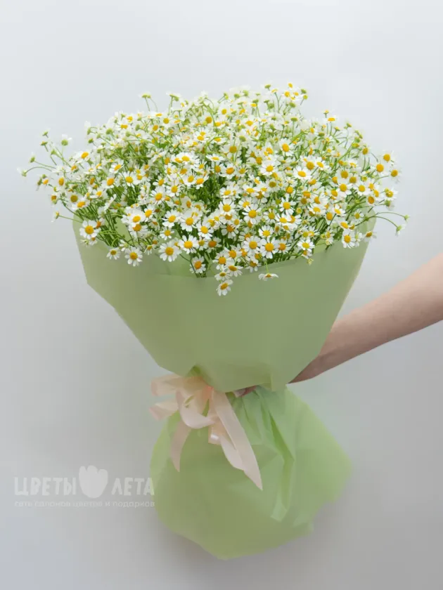 Монобукет: &laquo;Ромашка&raquo;