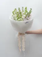 Букет: &laquo;Микс Нежно-Розовые и Белые Маттиолы&raquo;