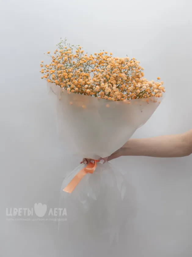 Букет: &laquo;Оранжевая Гипсофила&raquo;