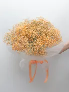 Букет: &laquo;Оранжевая Гипсофила&raquo;