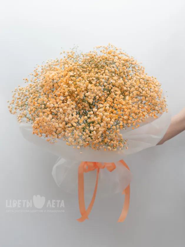 Букет: &laquo;Оранжевая Гипсофила&raquo;