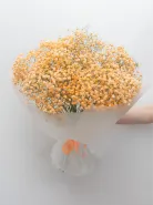 Букет: &laquo;Оранжевая Гипсофила&raquo;