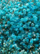 Букет: &laquo;Небесная Гипсофила&raquo;