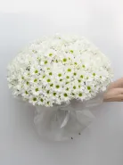 Букет: &laquo;51 Ромашковая Хризантема&raquo;
