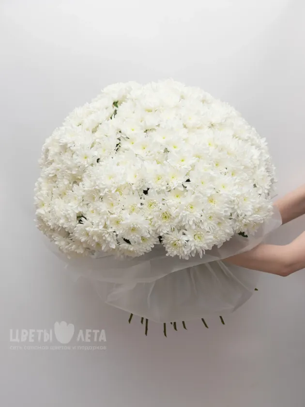 Букет: &laquo;51 Хризантема Балтика&raquo;