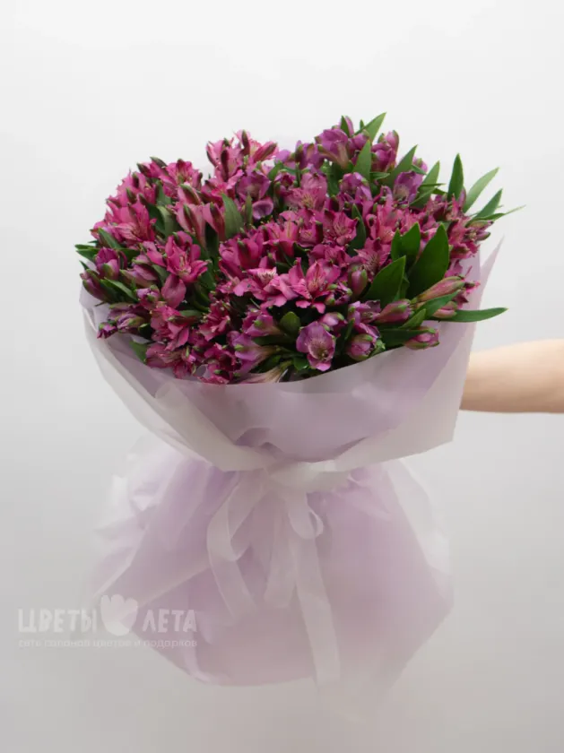 Монобукет: &laquo;Фиолетовая Альстромерия&raquo;