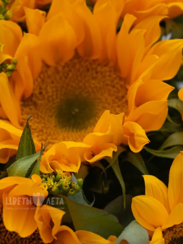 Монобукет: &laquo;Подсолнухи&raquo;