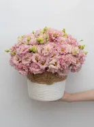 Композиция: &laquo;Розовая Эустома&raquo;