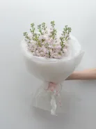 Монобукет: &laquo;Нежно-Розовая Маттиола&raquo;