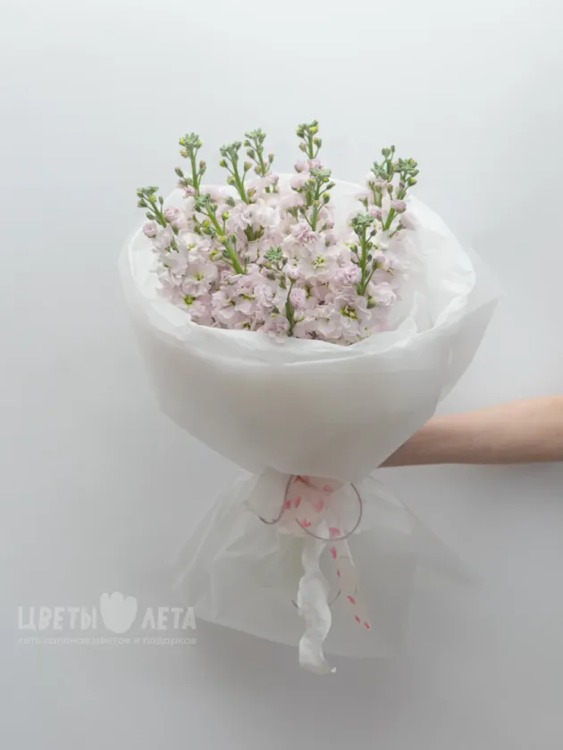 Монобукет: &laquo;Нежно-Розовая Маттиола&raquo;