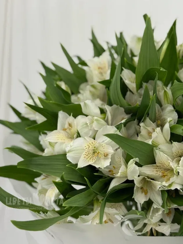 Букет &laquo;Альстромерия: белая магия 7"  