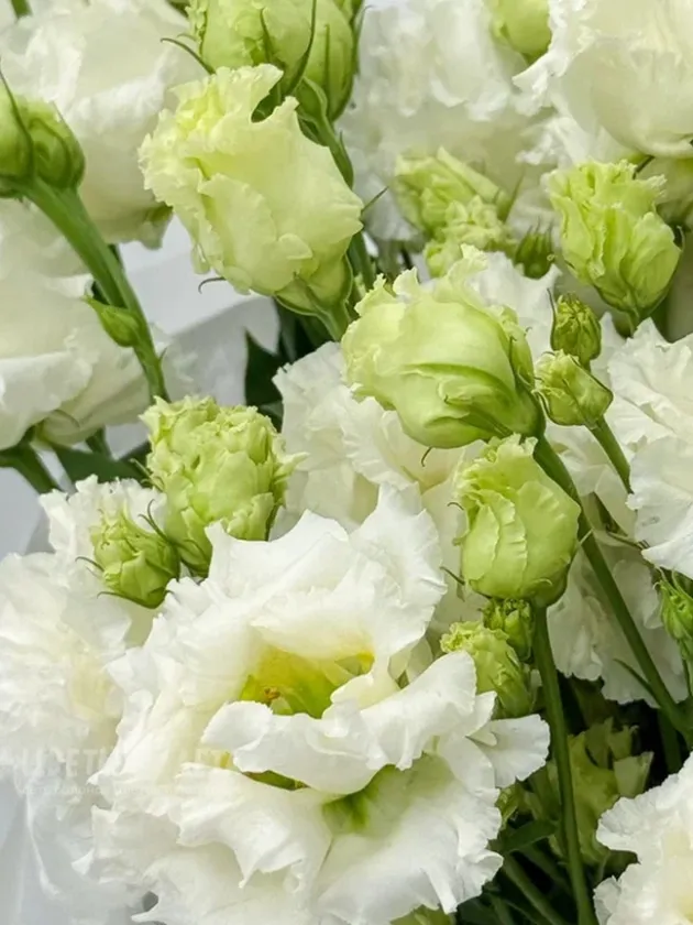 Букет: &laquo;Изысканная эустома 13&raquo;