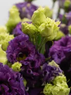 Монобукет из фиолетовых Эустом