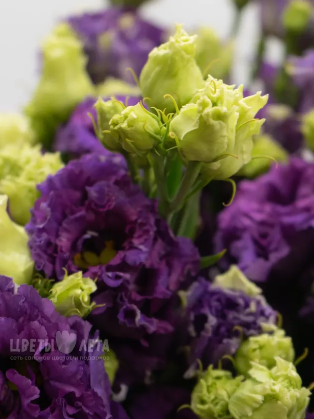 Монобукет из фиолетовых Эустом