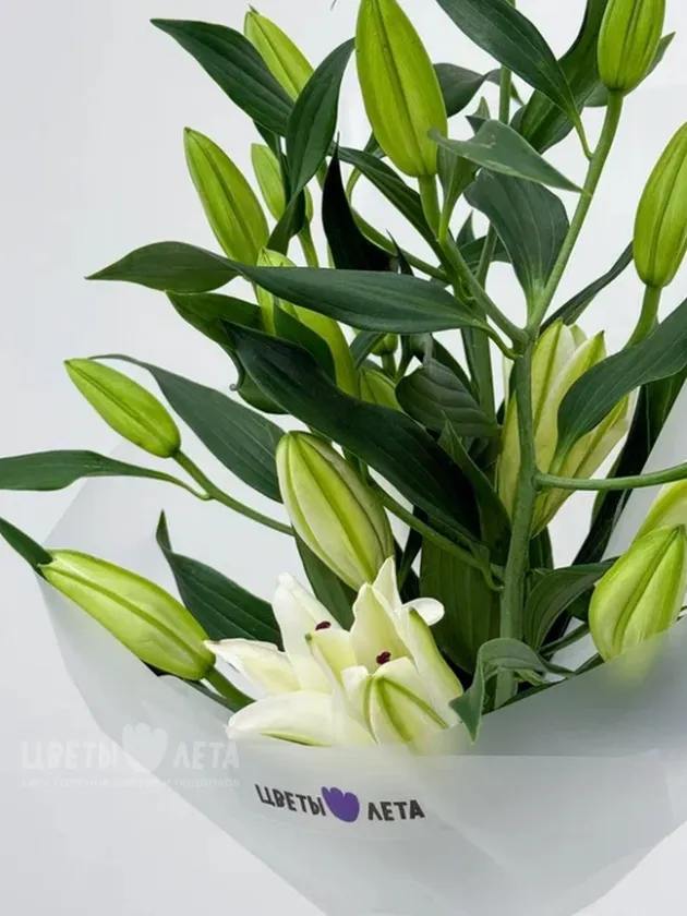 Букет: &laquo;Нежность лилии 5&raquo;