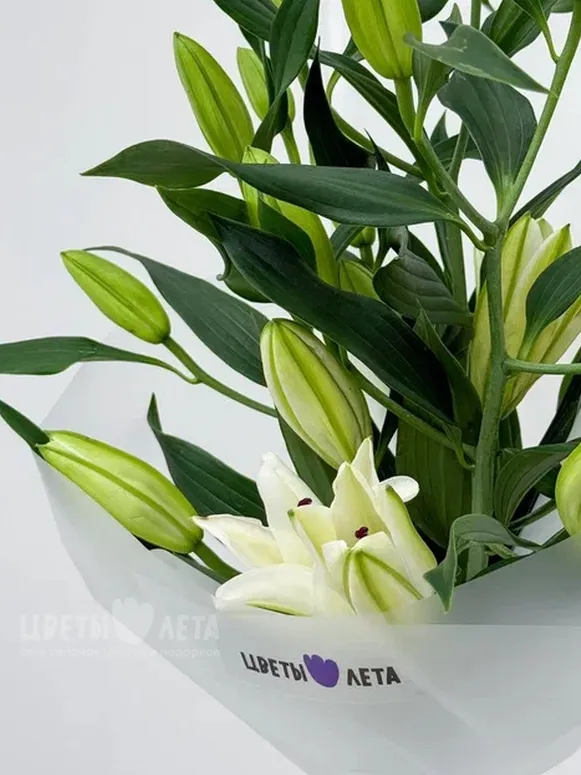 Букет: &laquo;Нежность лилии&raquo; 9