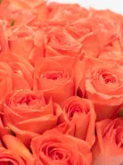 Букет: 101 Оранжевая Роза Кения 45см