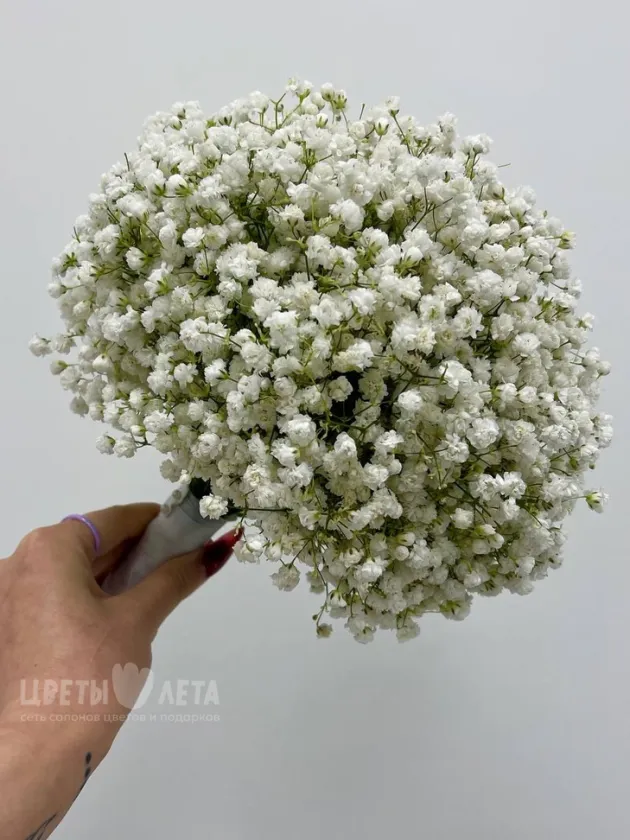 Букет: &laquo;Облако невесты&raquo;