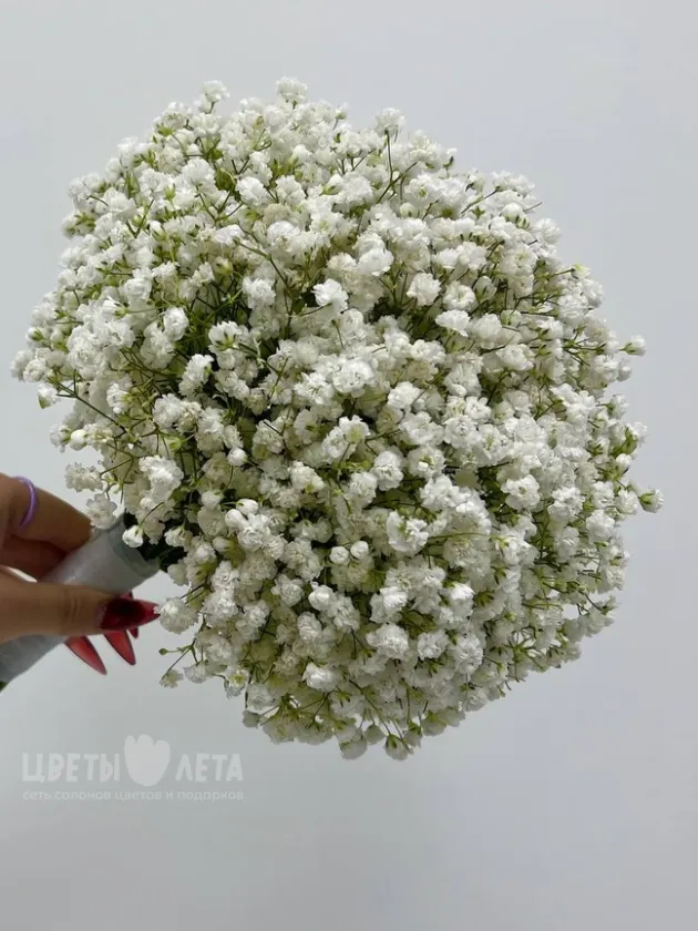 Букет: &laquo;Облако невесты&raquo;