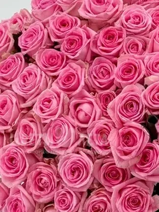 Букет: &laquo;&laquo;Магия розы&raquo; 15&raquo;