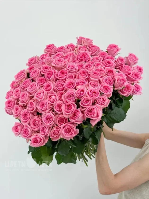 Букет из 101 &laquo;Розовой&raquo; Российской Розы 60см