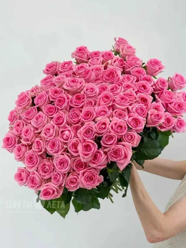 Букет из 101 &laquo;Розовой&raquo; Российской Розы 60см