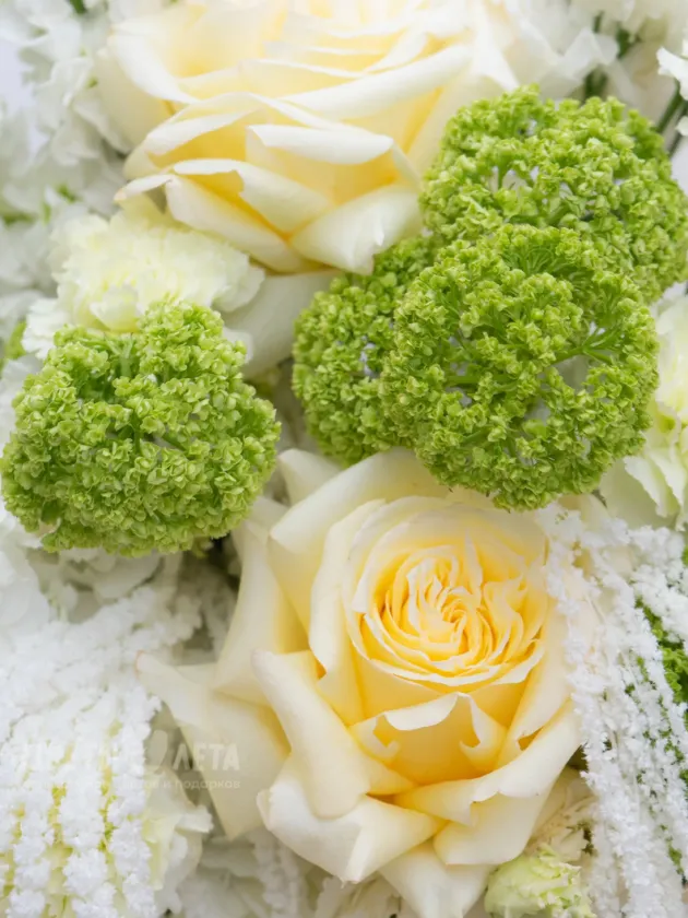 Сборный Букет: &laquo;Атмосфера&raquo;