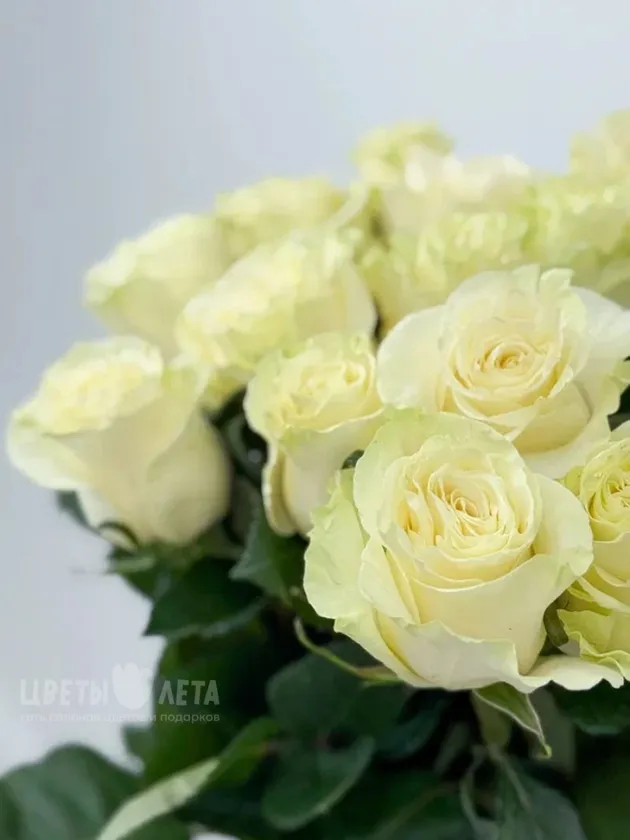 Букет из 51 розы &laquo;Мондиаль 60см&raquo;