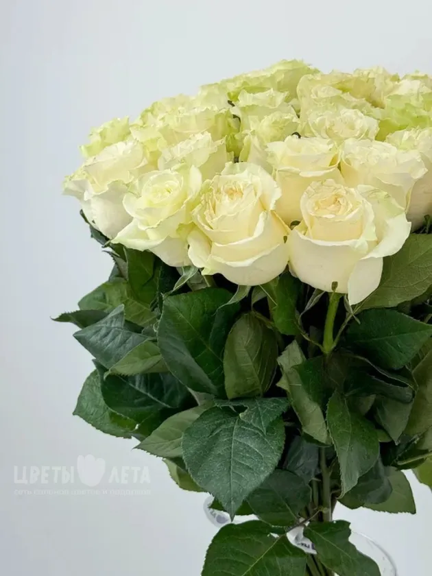 Букет из 51 розы &laquo;Мондиаль 60см&raquo;