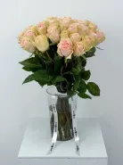 Букет: &laquo;Розовый рассвет Эквадора&raquo;