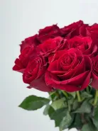 Букет: &laquo;Королевский рубин Эквадора&raquo;