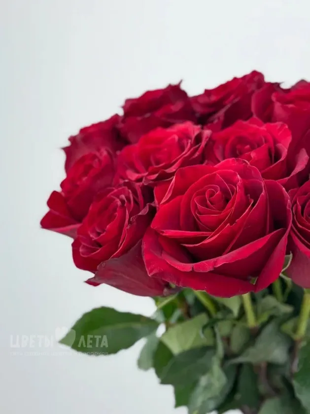 Букет: &laquo;Королевский рубин Эквадора 51&raquo;