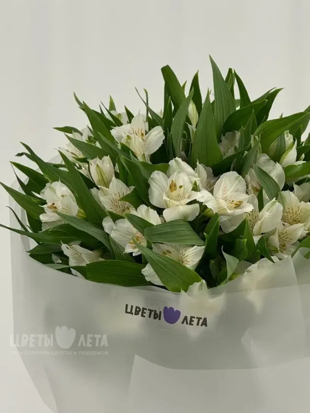 Букет: &laquo;Альстромерия: белая магия 25&raquo;