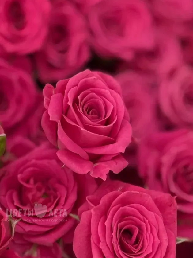 Букет:  &laquo;Розовый неон&raquo;