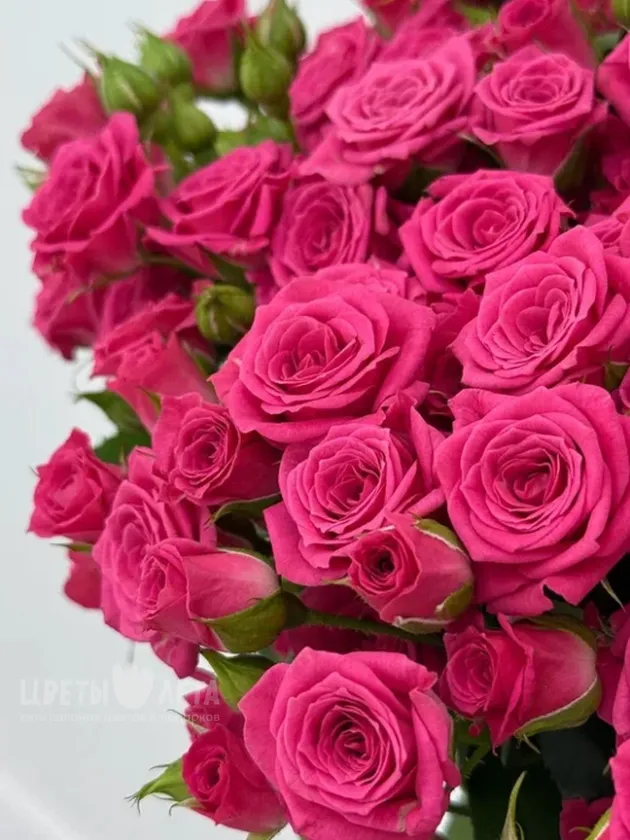 Букет: &laquo;Ярко-розовая кустовая роза 51&raquo;